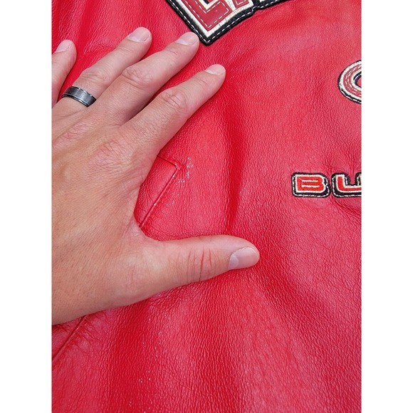 Vintage Dale Earnhardt Jr Leather Racing Jacket Chase Authentics L - Picture 3 of 9